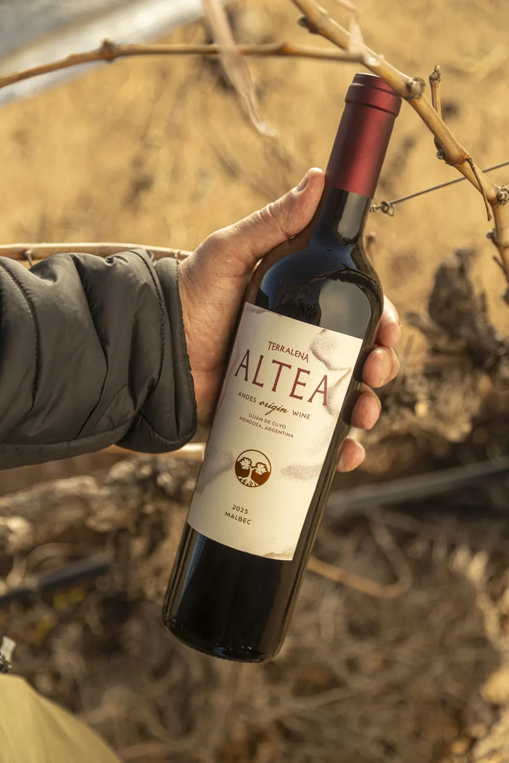 Una botella de Altea Origin en la mano, entre las ramas de la vid