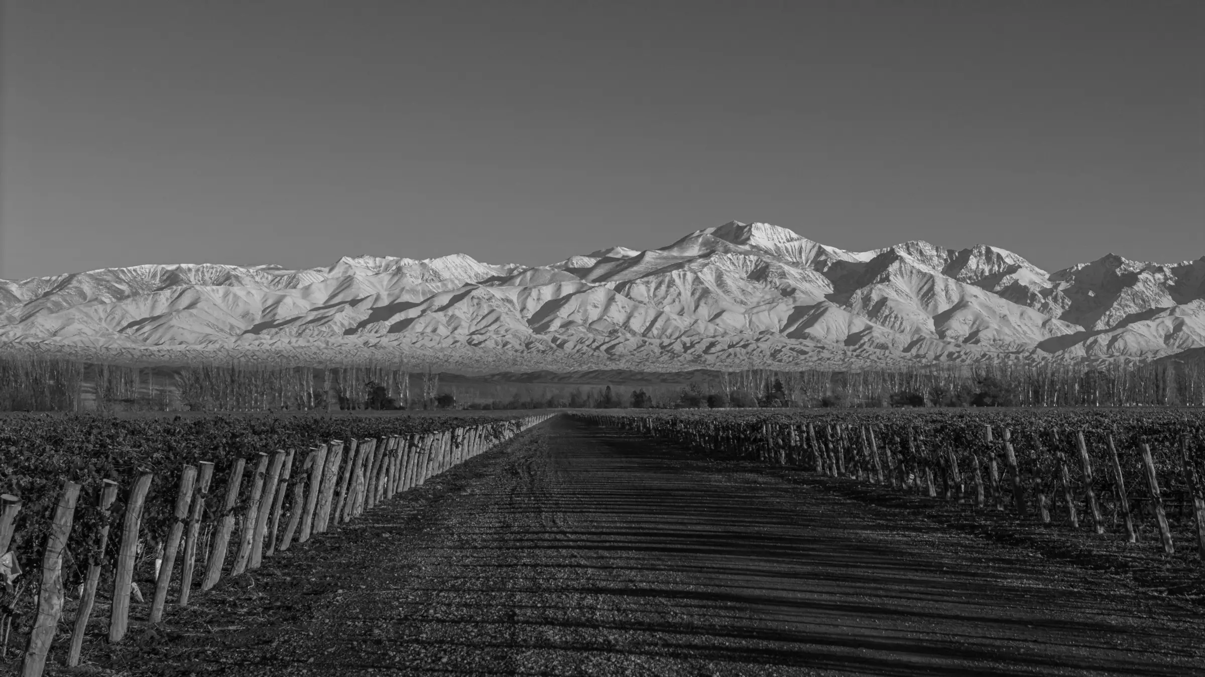 La cordillera de los Andes nevada sobre el valle de Agrelo, en Luján de Cuyo